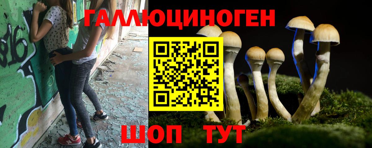 Псилоцибиновые грибы GOLDEN TEACHER  Вход с VPN  Кандалакша  Псилоцибиновые грибы прущие грибы 
